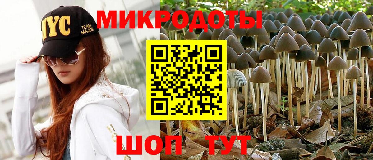 Галлюциногенные грибы GOLDEN TEACHER Кострома