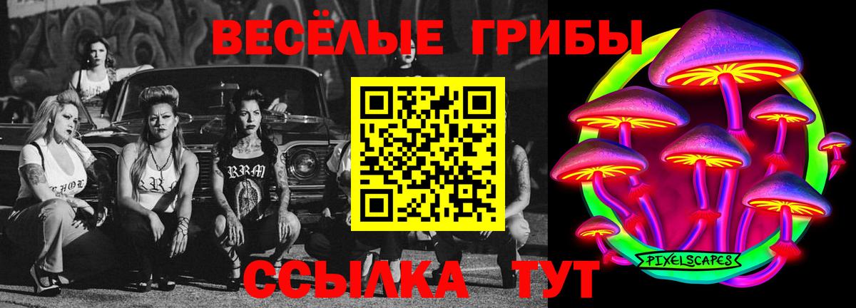 Кострома  Галлюциногенные грибы прущие грибы  Вход с VPN 